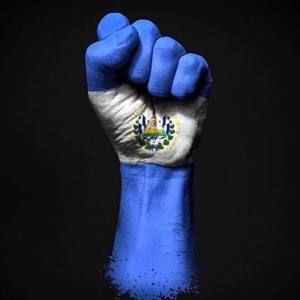 Meet your Posher, Luis